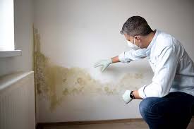 Best Airborne Mold Testing in Greenville, PA